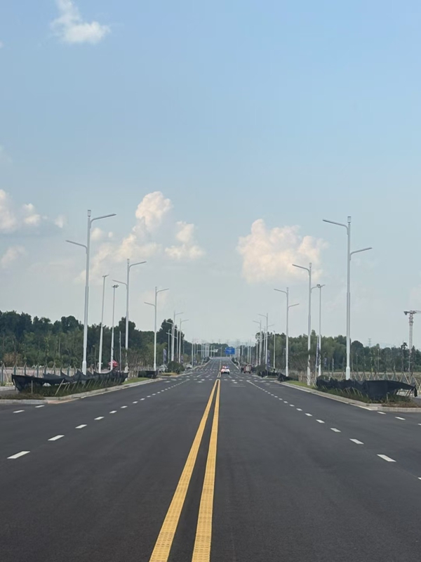 led道水蜜桃视频免费观看